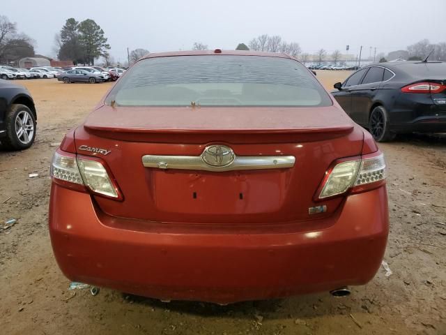 2010 Toyota Camry Hybrid