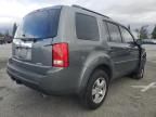 2009 Honda Pilot EXL