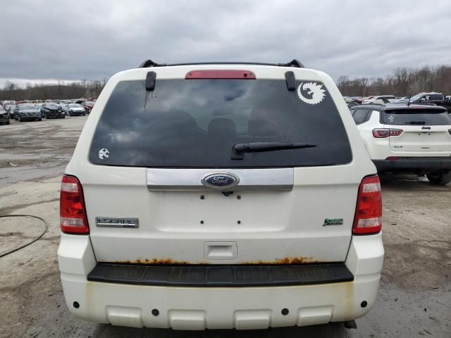 2012 Ford Escape Limited