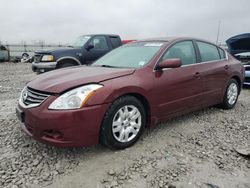 Nissan Vehiculos salvage en venta: 2010 Nissan Altima Base