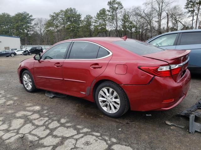 2013 Lexus ES 300H