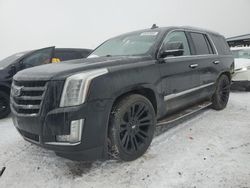 Salvage cars for sale at Brighton, CO auction: 2015 Cadillac Escalade Luxury