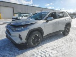 Salvage cars for sale at Leroy, NY auction: 2020 Toyota Rav4 XLE