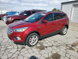 Salvage cars for sale at Lexington, KY auction: 2018 Ford Escape SE