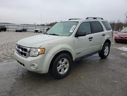 Ford salvage cars for sale: 2008 Ford Escape XLT