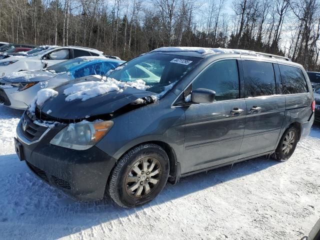 2010 Honda Odyssey EXL