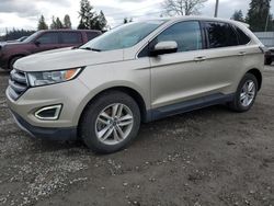 Salvage cars for sale at Graham, WA auction: 2018 Ford Edge SEL