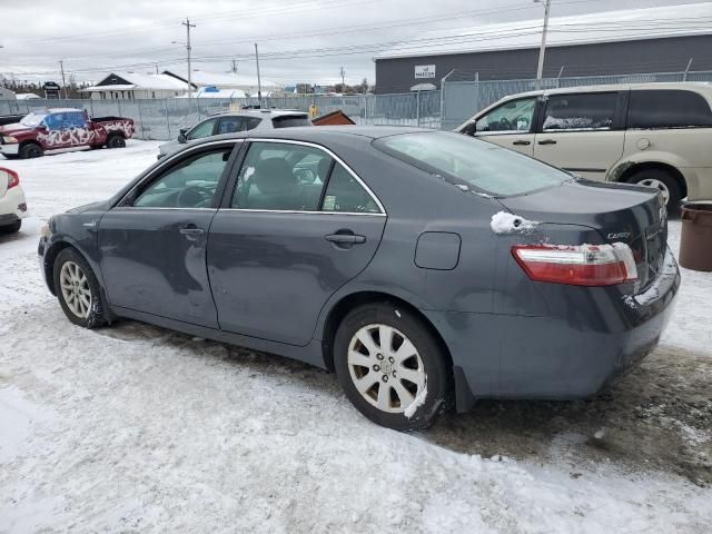 2009 Toyota Camry Hybrid