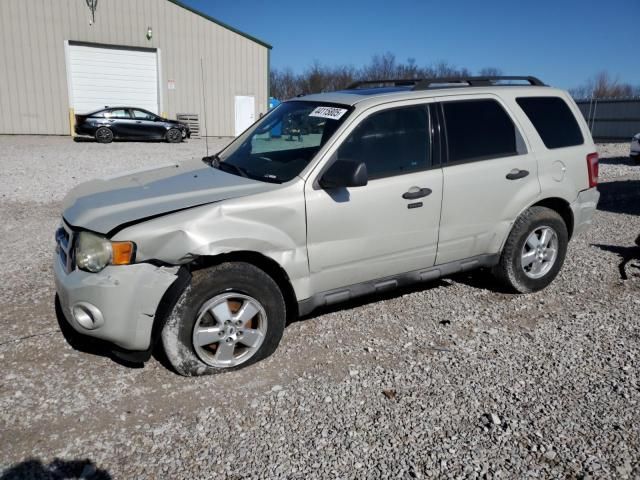 2009 Ford Escape XLT