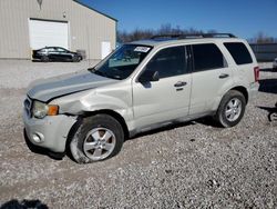 Salvage cars for sale at Lawrenceburg, KY auction: 2009 Ford Escape XLT