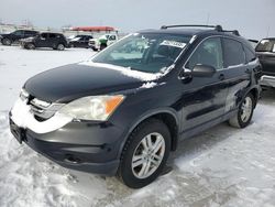 Salvage cars for sale from Copart Cahokia Heights, IL: 2011 Honda CR-V EX