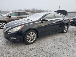 Salvage cars for sale at Lawrenceburg, KY auction: 2011 Hyundai Sonata SE