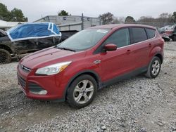 Salvage cars for sale at Prairie Grove, AR auction: 2016 Ford Escape SE