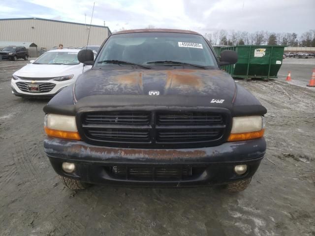 1999 Dodge Dakota