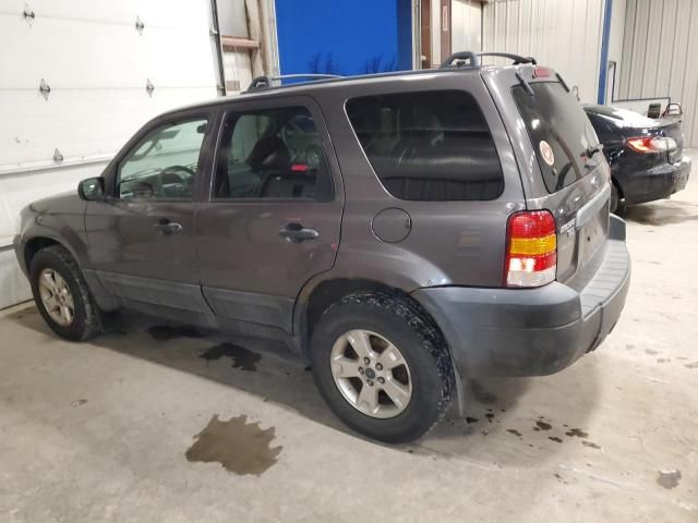 2005 Ford Escape XLT