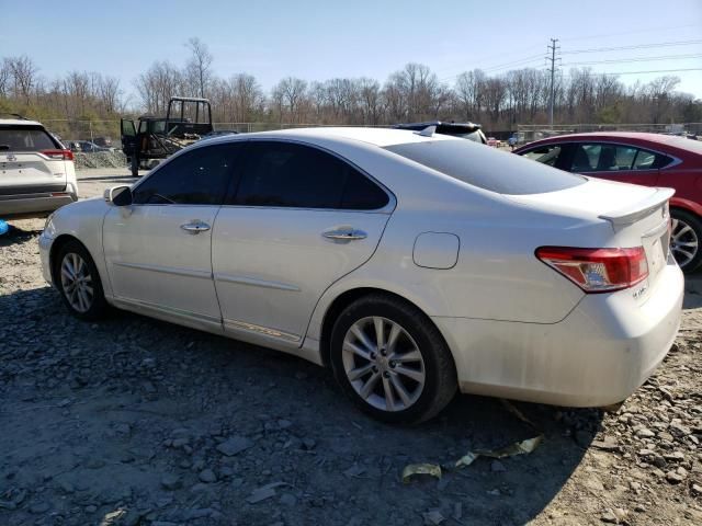 2010 Lexus ES 350