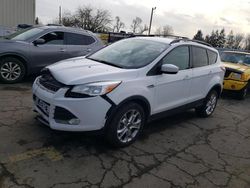 Salvage cars for sale at Woodburn, OR auction: 2013 Ford Escape SE