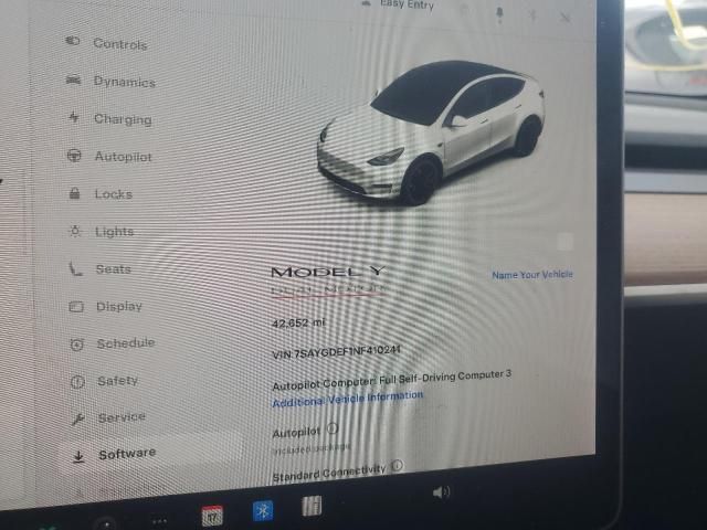 2022 Tesla Model Y