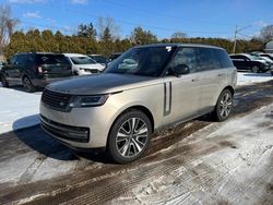 Salvage SUVs for sale at auction: 2023 Land Rover Range Rover SE