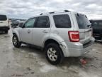 2009 Ford Escape Limited