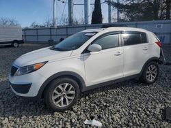 Salvage cars for sale at Windsor, NJ auction: 2016 KIA Sportage LX