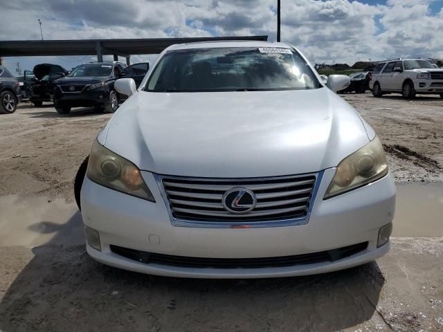 2011 Lexus ES 350