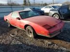 1986 Pontiac Firebird