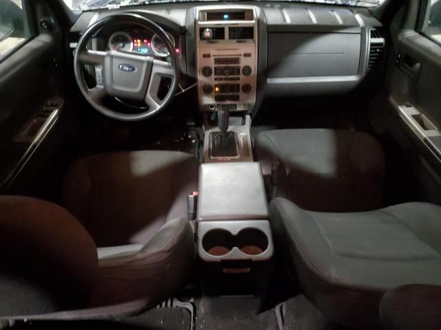 2008 Ford Escape XLT