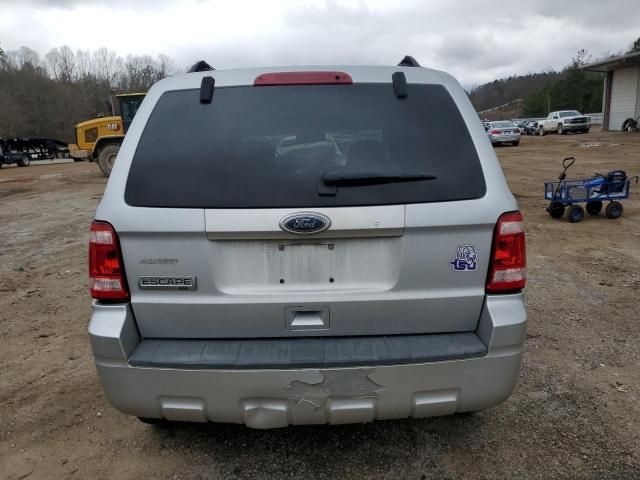 2010 Ford Escape XLT