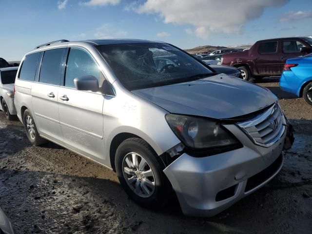 2010 Honda Odyssey EXL