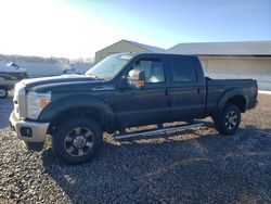 Salvage trucks for sale at Avon, MN auction: 2011 Ford F350 Super Duty