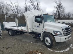 Hino Hino l6 salvage cars for sale: 2024 Hino Hino L6