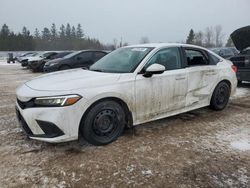 Salvage Cars with No Bids Yet For Sale at auction: 2023 Honda Civic LX