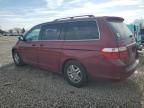 2006 Honda Odyssey Touring