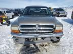 2003 Dodge Dakota Quad SLT