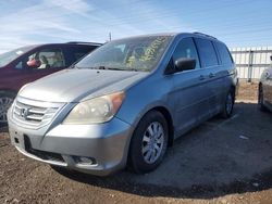 2010 Honda Odyssey EXL en venta en Elgin, IL