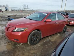 Salvage cars for sale at Cicero, IN auction: 2009 Toyota Camry Base