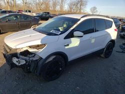 Salvage cars for sale at Cicero, IN auction: 2016 Ford Escape SE