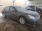 2007 Nissan Maxima SE