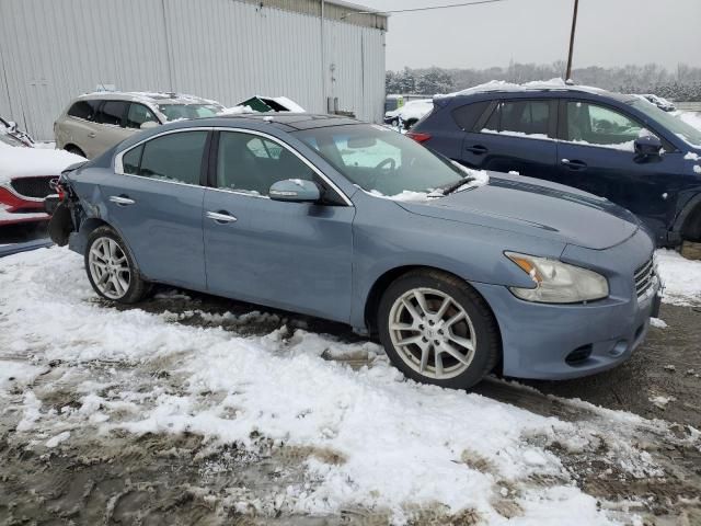 2010 Nissan Maxima S