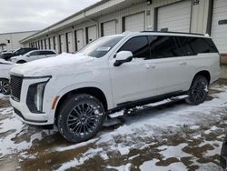 Salvage cars for sale at Louisville, KY auction: 2025 Cadillac Escalade ESV Sport Platinum