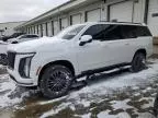 2025 Cadillac Escalade ESV Sport Platinum