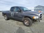 2004 Dodge RAM 1500 ST