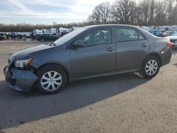 Salvage cars for sale at Glassboro, NJ auction: 2010 Toyota Corolla Base