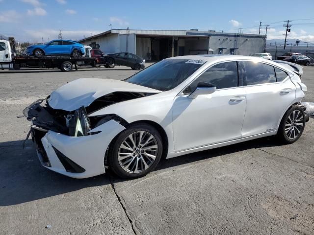 2019 Lexus ES 300H