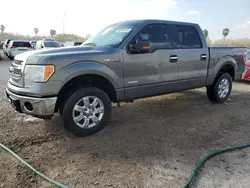 Salvage trucks for sale at Mercedes, TX auction: 2014 Ford F150 Supercrew