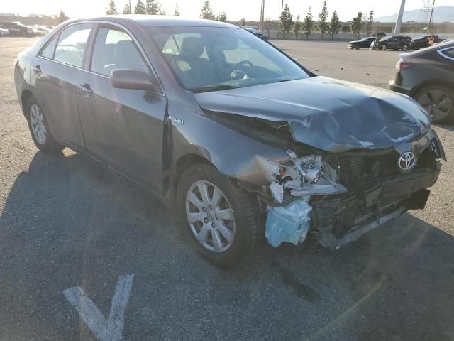 2009 Toyota Camry Hybrid