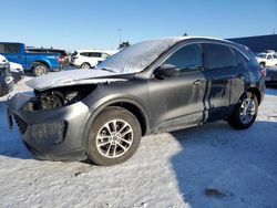 Salvage cars for sale at Woodhaven, MI auction: 2020 Ford Escape SE