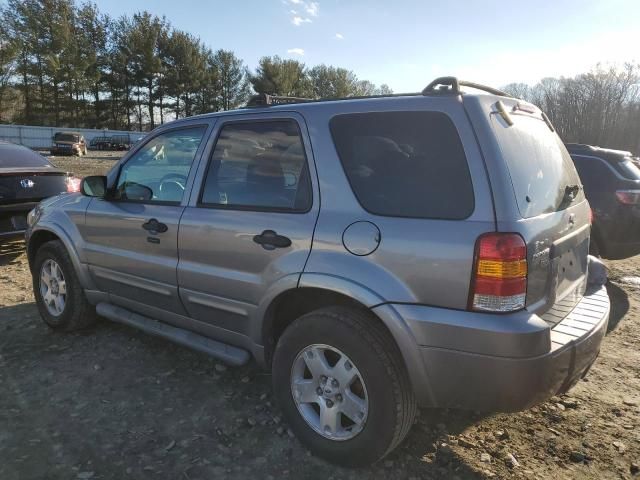 2007 Ford Escape XLT