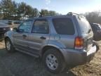 2007 Ford Escape XLT